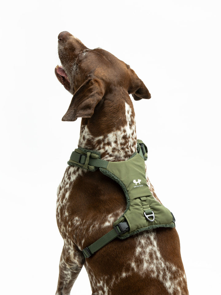 Citylife Soft Plush Dog Harness Green by United Pets | Stylish Comfort