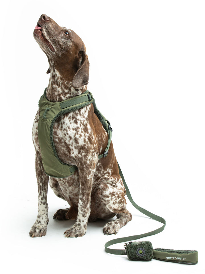 Citylife Soft Plush Dog Harness Green by United Pets | Stylish Comfort