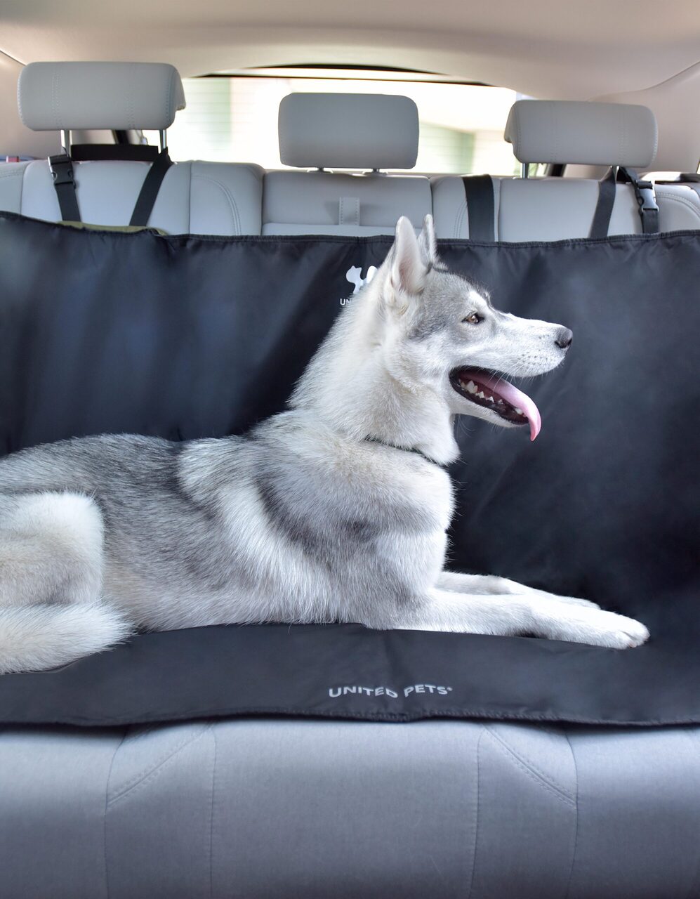 Universal Cover for Car Seats & Trunk for Dog – CAR MAT by United Pets