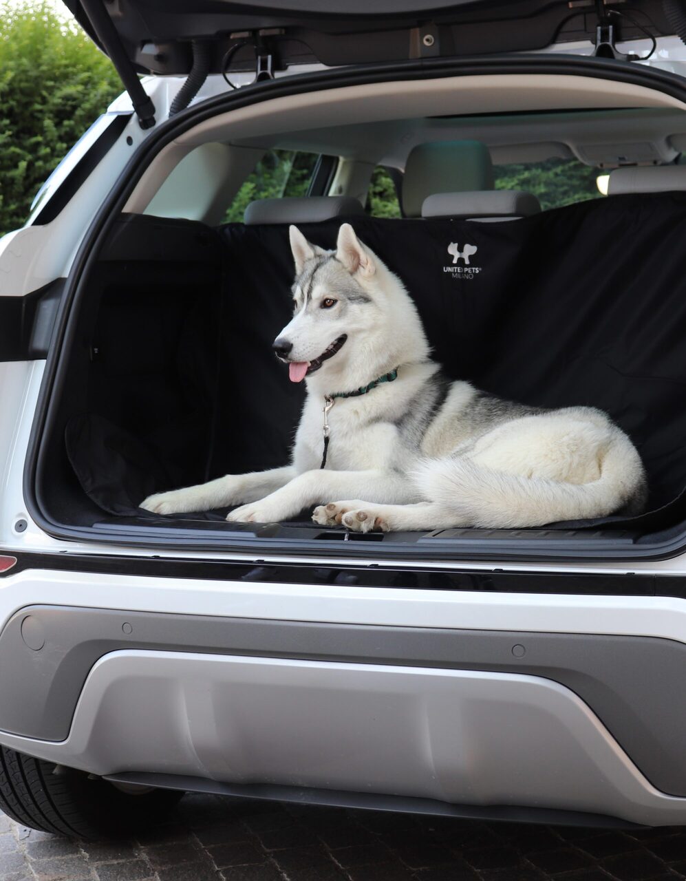 Universal Cover for Car Seats & Trunk for Dog – CAR MAT by United Pets