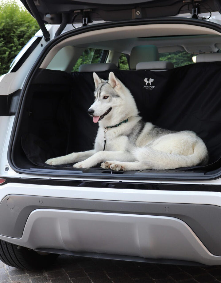 Universal Cover for Car Seats & Trunk for Dog – CAR MAT by United Pets