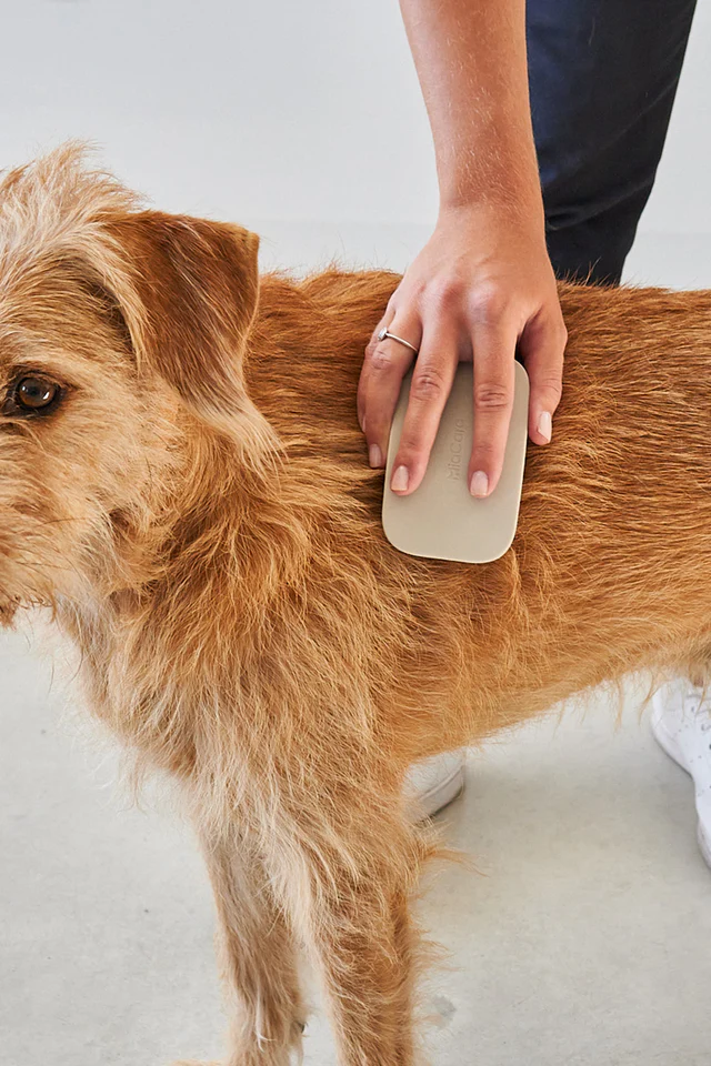 Pelo Dog Brush - MiaCara Innovative Design
