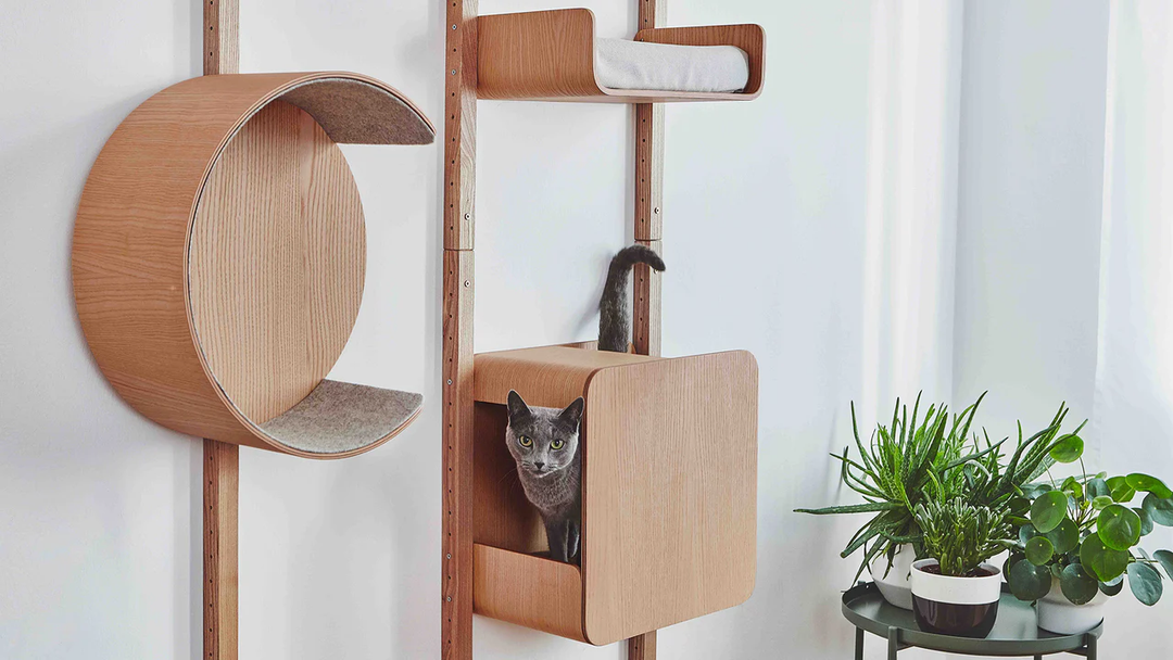 Alto Multifunctional Cat Wall Climber - MiaCara Innovative Design