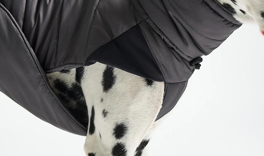 Cosima Luxury Dog Winter Coat - MiaCara Innovative Design