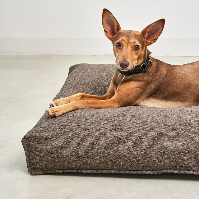 Mondo Dog Luxury Cushion - MiaCara Innovative Design