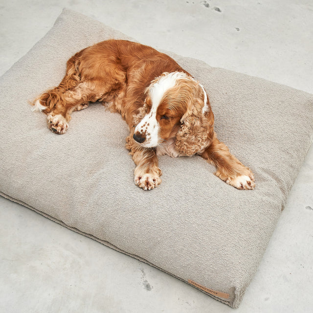 Mondo Dog Luxury Cushion - MiaCara Innovative Design