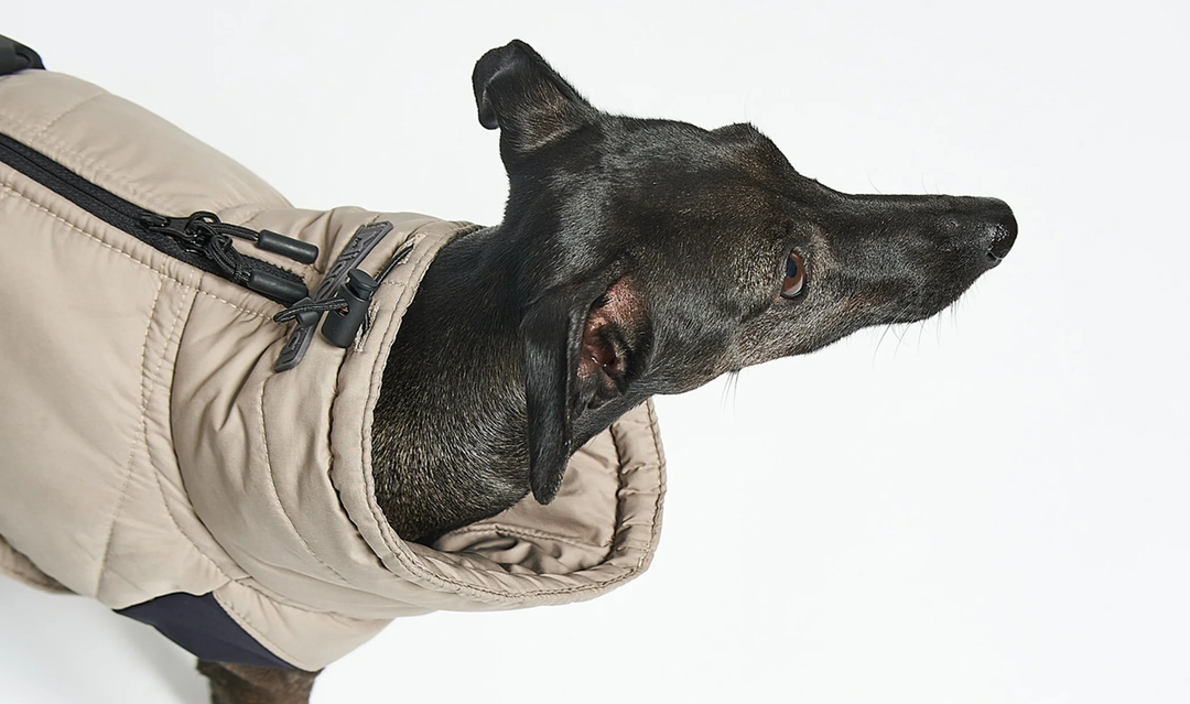 Cosima Luxury Dog Winter Coat - MiaCara Innovative Design
