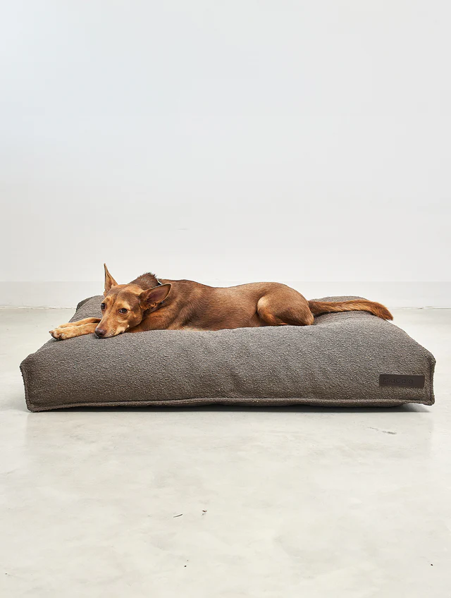 Mondo Dog Luxury Cushion - MiaCara Innovative Design