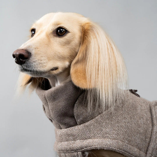 Dog Coat Brooklyn Tweed Beige & Black | CLOUD7 Luxury Dog Fashion