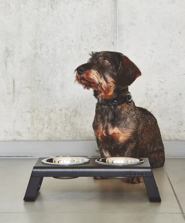 Desco Dog Feeder with Stainless Steel Bowls - MiaCara Innovative Design