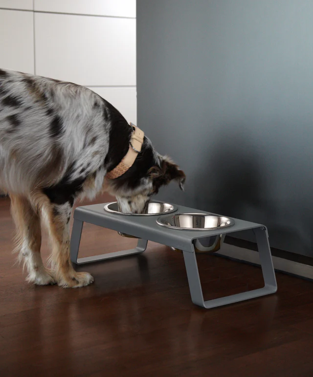 Desco Dog Feeder with Stainless Steel Bowls - MiaCara Innovative Design