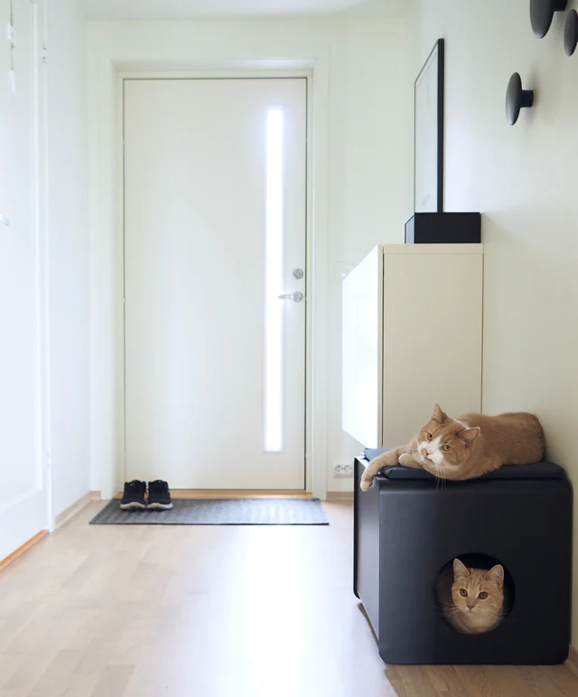 Sito Designer Cat Litter Box - MiaCara Innovative Design
