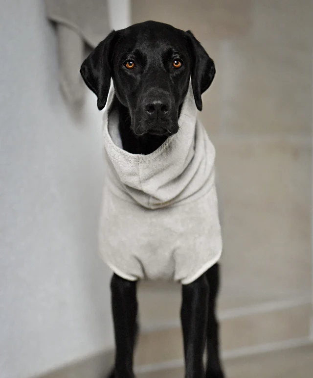 Bagno Luxury Dog Bathrobe - MiaCara Innovative Design