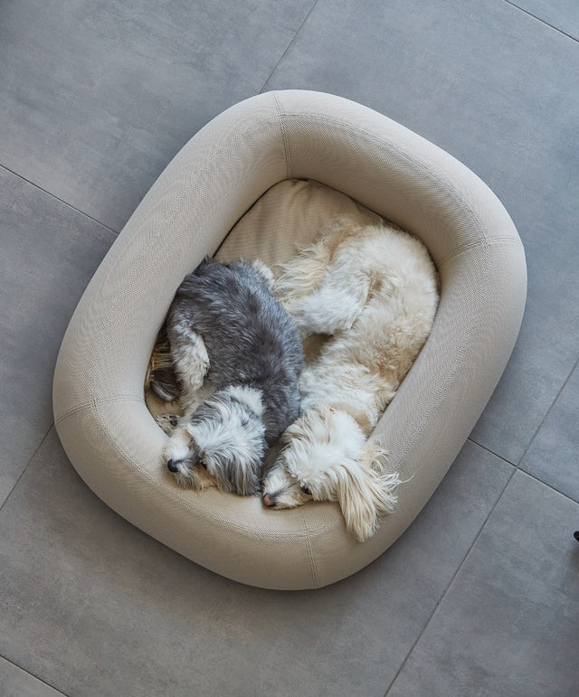 Barca Dog Bed - MiaCara Innovative Design