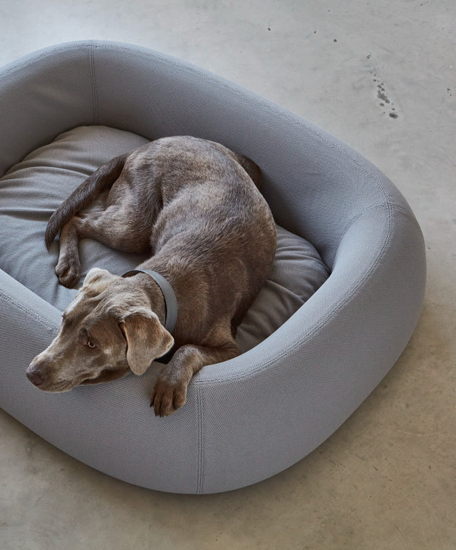Barca Dog Bed - MiaCara Innovative Design
