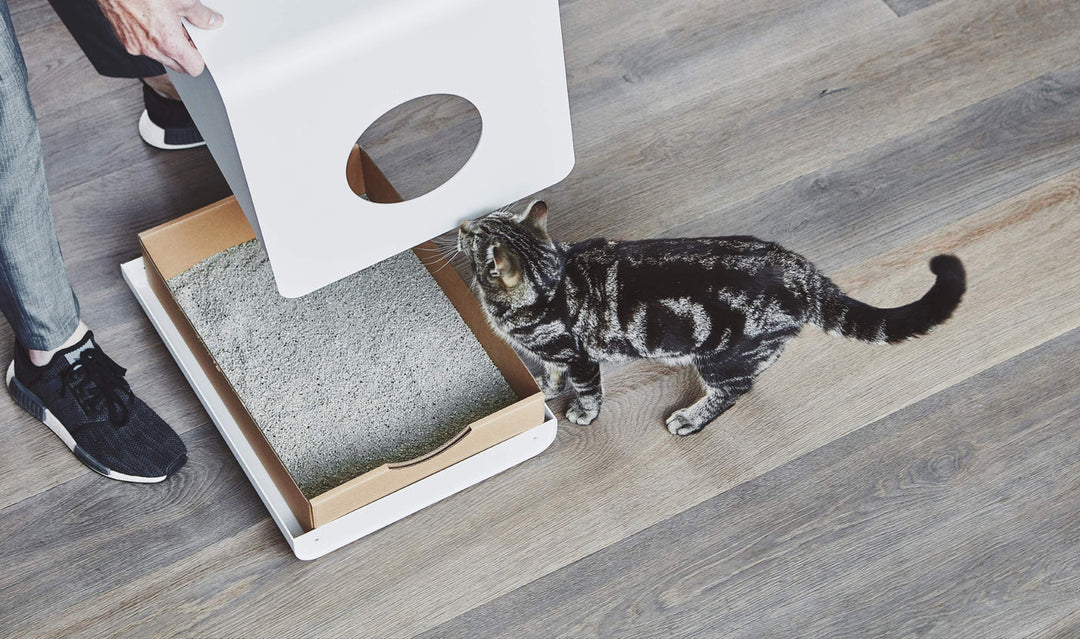 Sito Designer Cat Litter Box - MiaCara Innovative Design