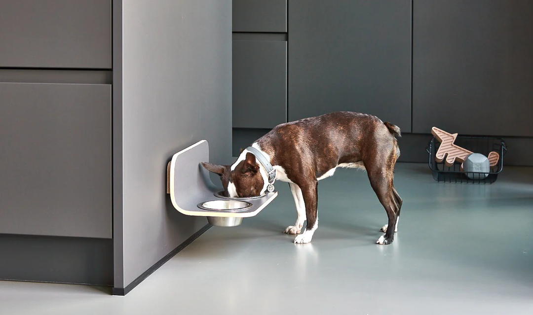 Arco Raised Dog Bowls - MiaCara Innovative Design