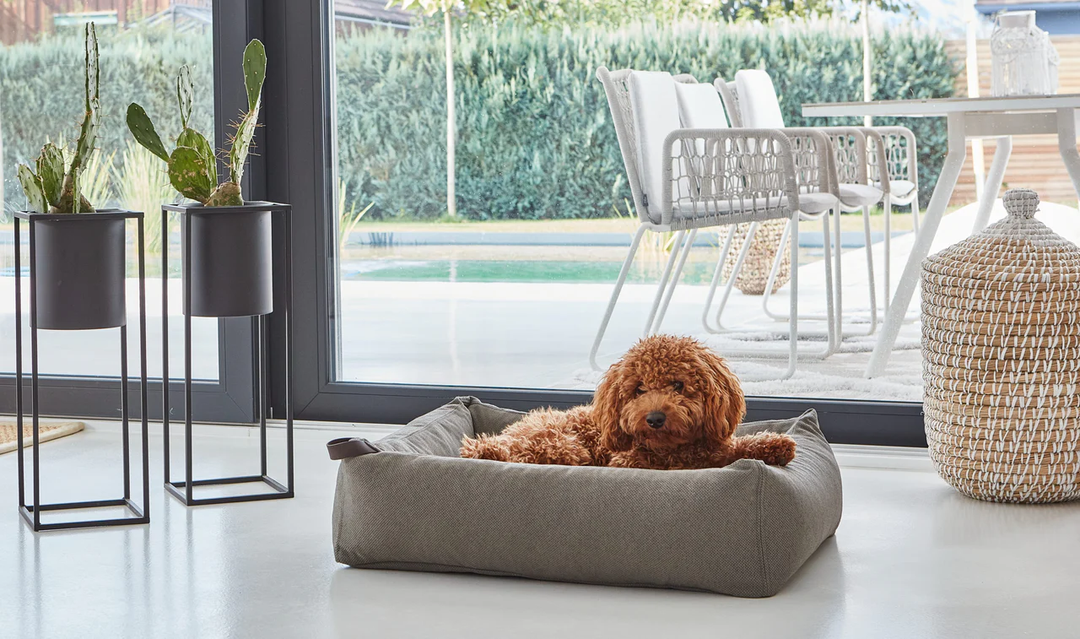 Mare Luxury Dog Bed - MiaCara Innovative Design
