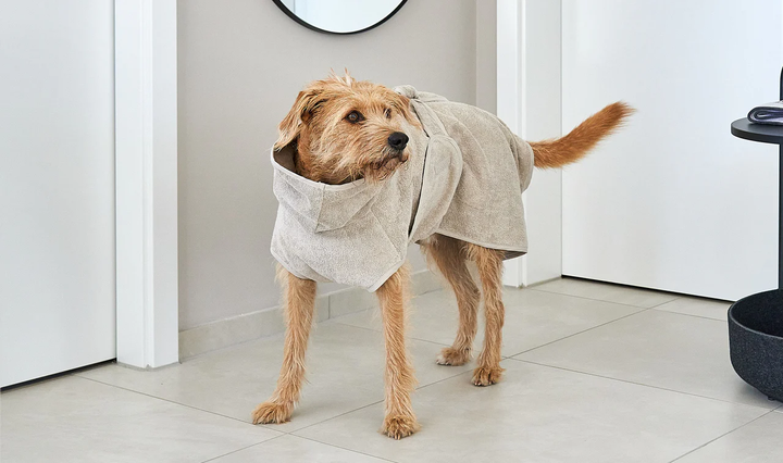 Bagno Luxury Dog Bathrobe - MiaCara Innovative Design