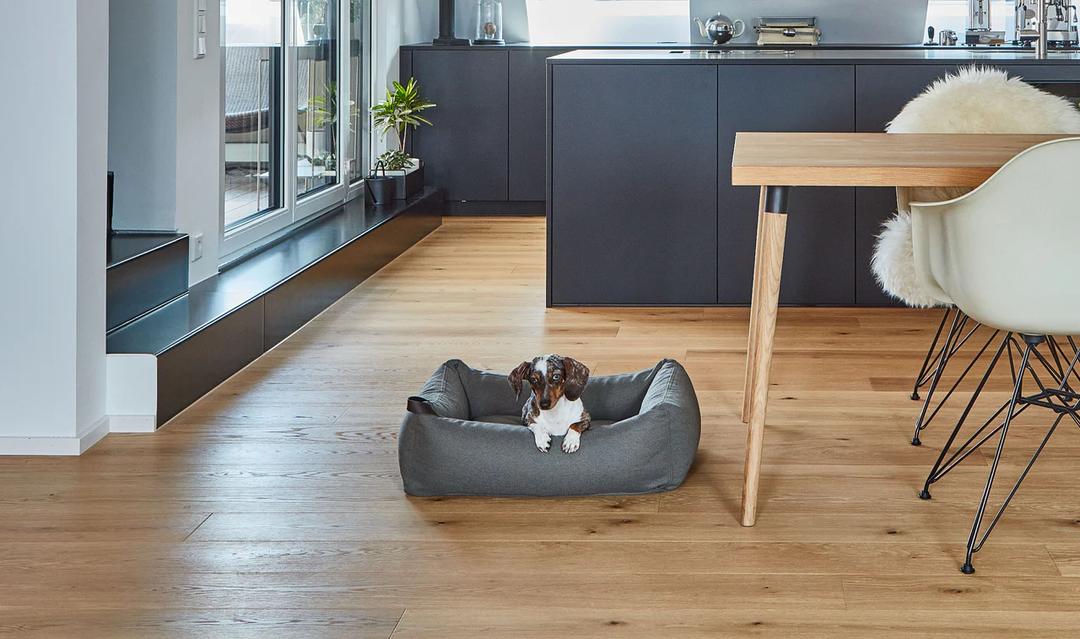 Mare Luxury Dog Bed - MiaCara Innovative Design