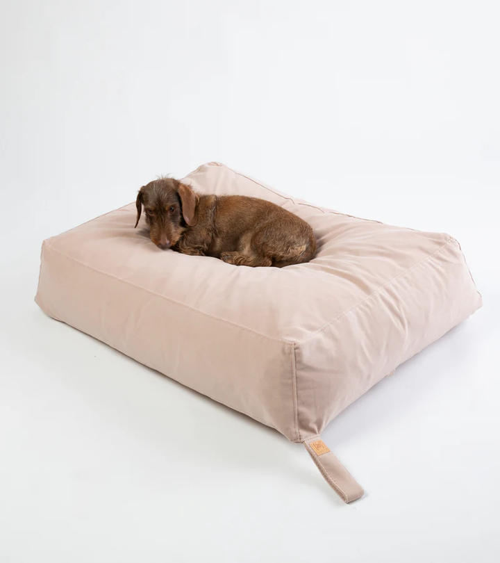 Yousuf - Cotton Dog Pillow | 2.8 Duepuntootto Design for Dogs