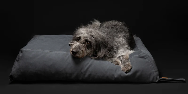 Yousuf - Cotton Dog Pillow | 2.8 Duepuntootto Design for Dogs