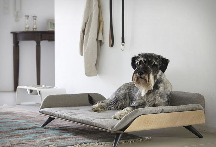 Letto Dog Luxury Day-Bed - MiaCara Innovation Design