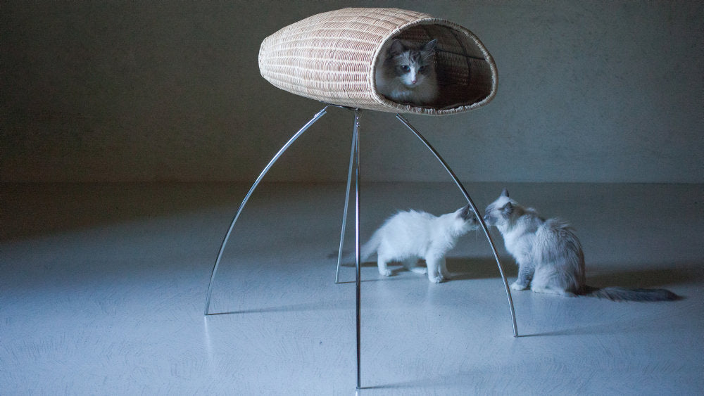 BACO CHIURLO Luxury Cat Bed with Pedestal | Brando Design