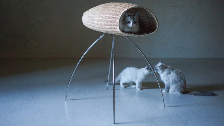BACO CHIURLO Luxury Cat Bed with Pedestal | Brando Design