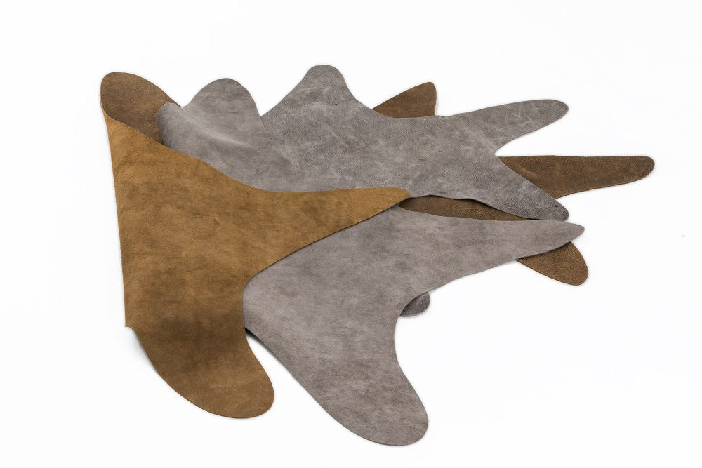 BAIE Carpet for Cat and Dog Beds | Brando Design