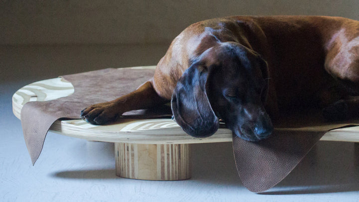 BAIE Carpet for Cat and Dog Beds | Brando Design