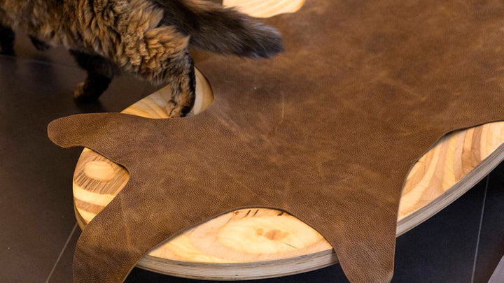 BAIE Carpet for Cat and Dog Beds | Brando Design