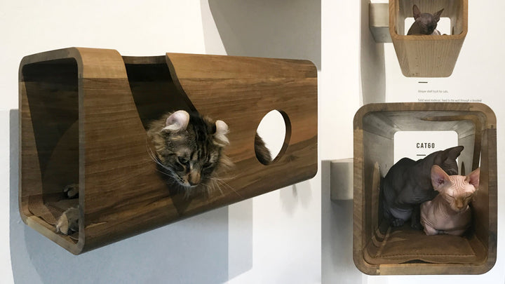 CAT60 Wooden Luxury Cat Wall Bed | Brando Design