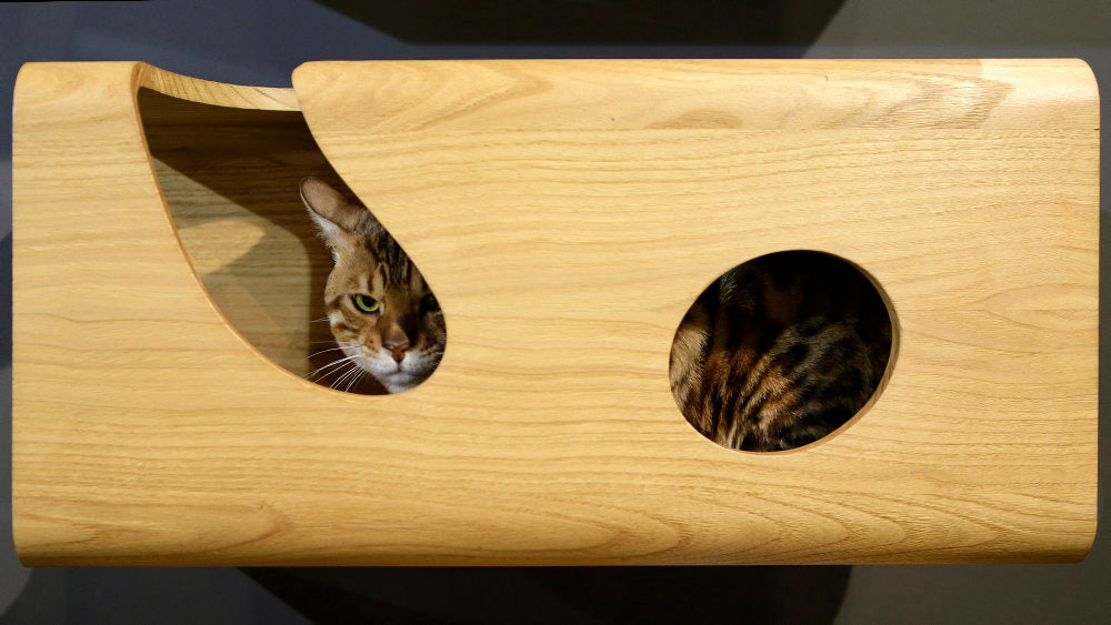 CAT60 Wooden Luxury Cat Wall Bed | Brando Design