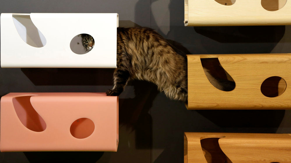 CAT60 Plexiglass Luxury Cat Bed Wall Sire Bracket | Brando Design