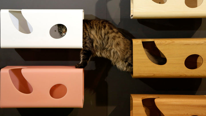 CAT60 Plexiglass Luxury Cat Bed Wall Sire Bracket | Brando Design