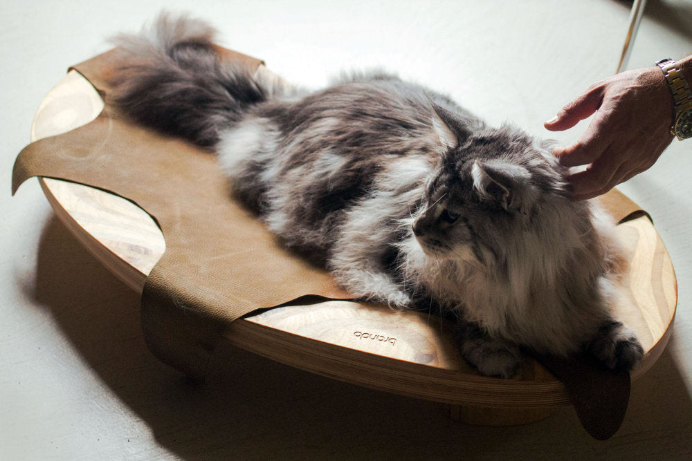 Dune Luxury Wooden Bed for Cats and Dogs | Brando Design