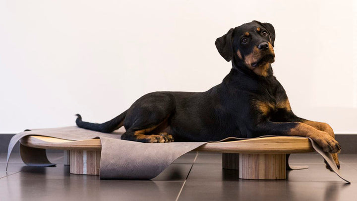 Dune Luxury Wooden Bed for Cats and Dogs | Brando Design