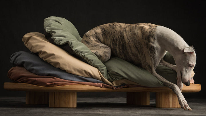 OASI Luxury Cushion for Bed Pets | Brando Design