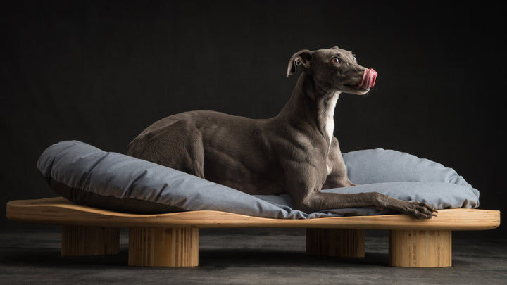 Dune Luxury Wooden Bed for Cats and Dogs | Brando Design