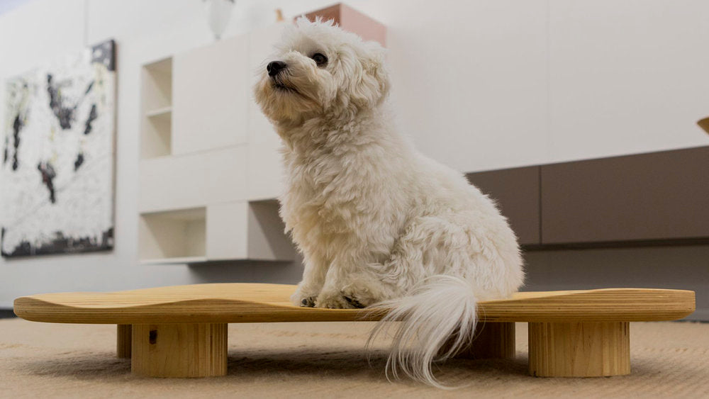 Dune Luxury Wooden Bed for Cats and Dogs | Brando Design
