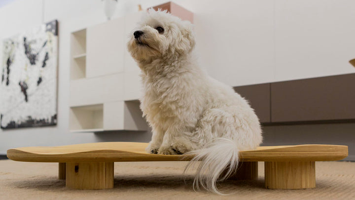 Dune Luxury Wooden Bed for Cats and Dogs | Brando Design