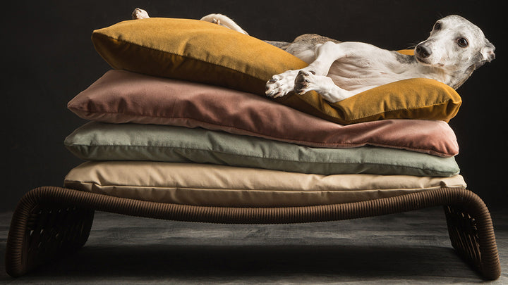 Kanak Luxury Dog Bed with Cushion | Brando Design