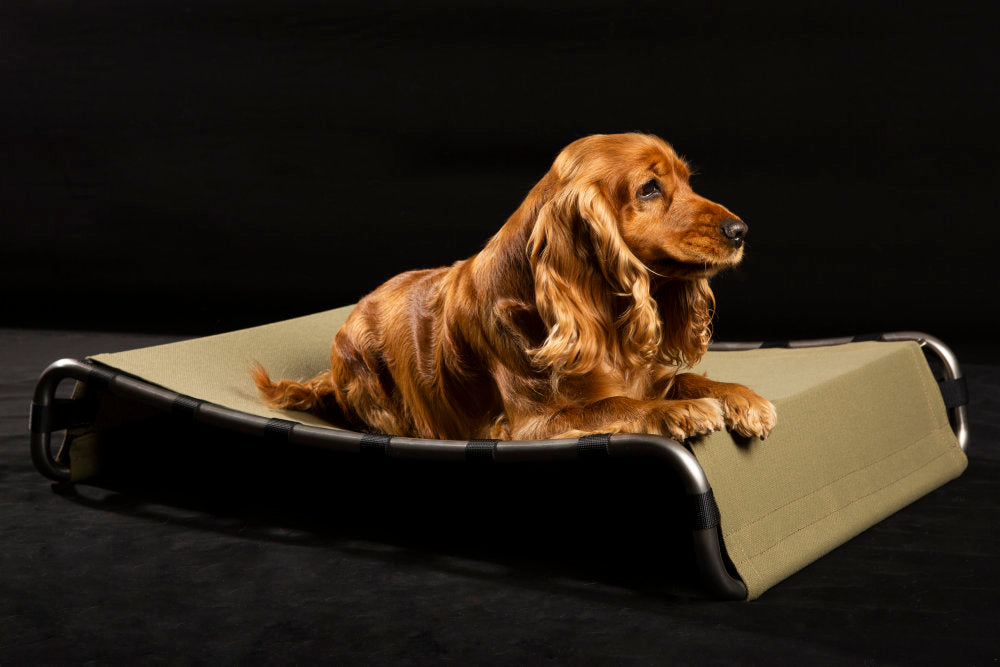 Kanak Cloth Luxury Dog Bed | Brando Design