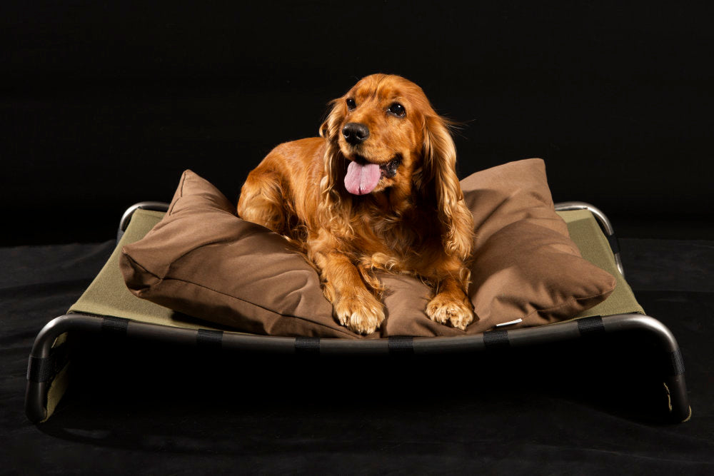 Kanak Cloth Luxury Dog Bed with Cushion | Brando Design