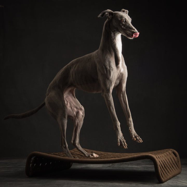 Kanak Luxury Dog Bed | Brando Design