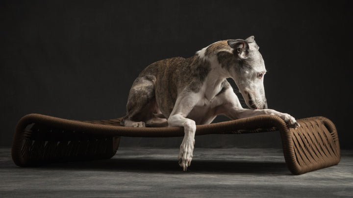 Kanak Luxury Dog Bed | Brando Design