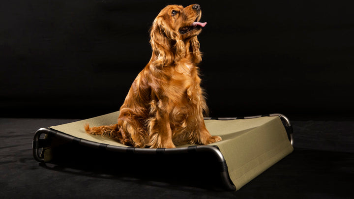 Kanak Cloth Luxury Dog Bed | Brando Design