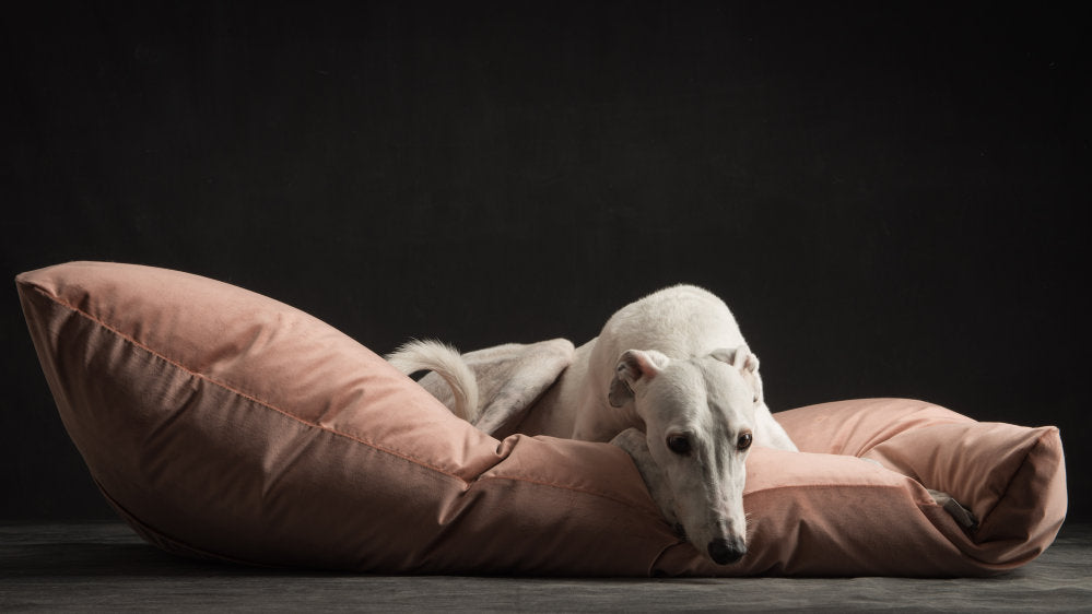LOTO Luxury Cushion for Bed Pets | Brando Design