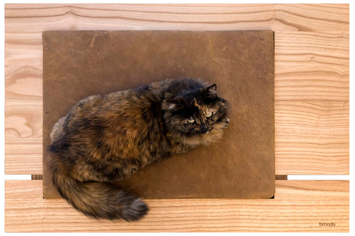 MIRA 1 Solid Wood Luxury Cat and Dog Bed with Pillow | Brando Design